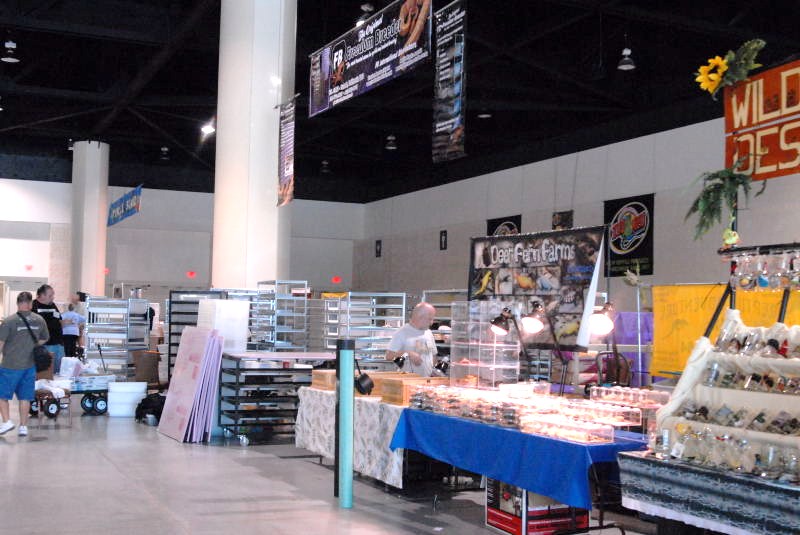 National Reptile Breeders Expo 2010 Friday Setup, Daytona Beach, Florida  -