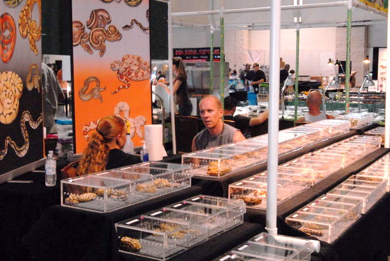 National Reptile Breeders Expo 2010 Friday Setup, Daytona Beach, Florida  -
