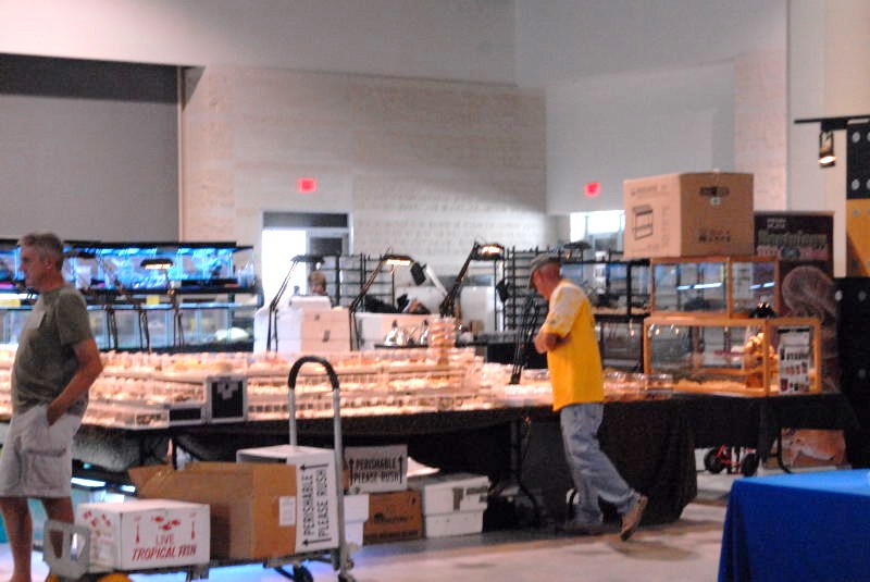 National Reptile Breeders Expo 2010 Friday Setup, Daytona Beach, Florida  -