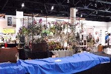 National Reptile Breeders Expo 2010 Friday Setup, Daytona Beach, Florida  -