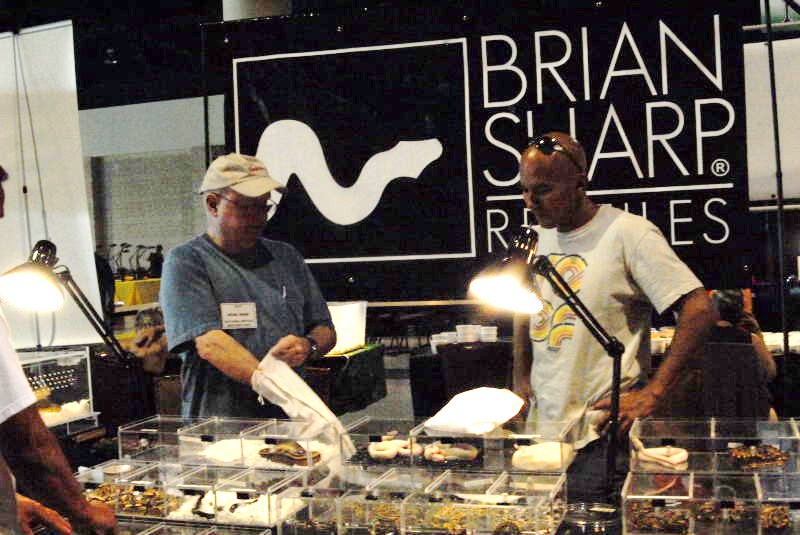 National Reptile Breeders Expo 2010 Friday Setup, Daytona Beach, Florida  -