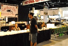 National Reptile Breeders Expo 2010 Friday Setup, Daytona Beach, Florida  -