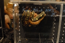National Reptile Breeders Expo 2010 Friday Setup, Daytona Beach, Florida  -