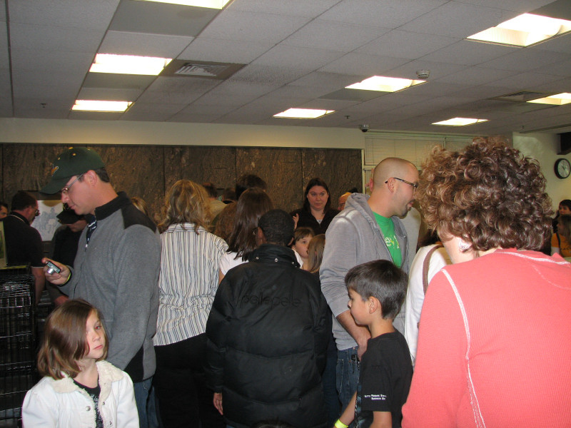Snake Days 2010