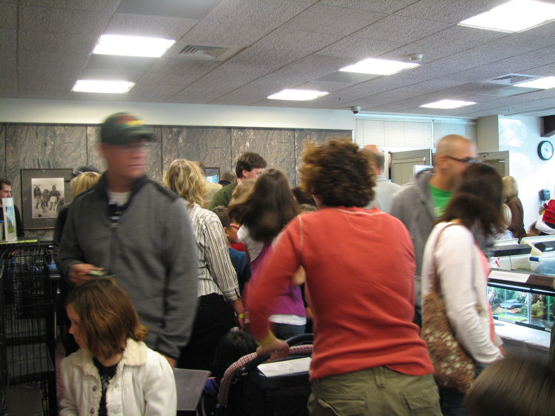 Snake Days 2010