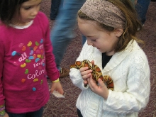 Snake Days 2010