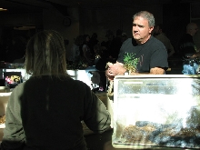 Snake Days 2010
