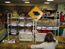 Snake Days 2010
