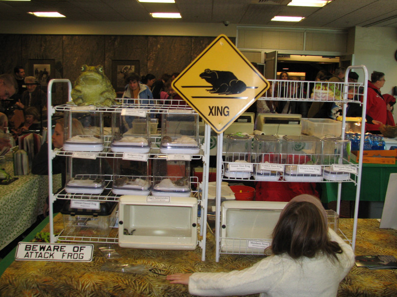 Snake Days 2010
