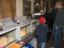 Snake Days 2010