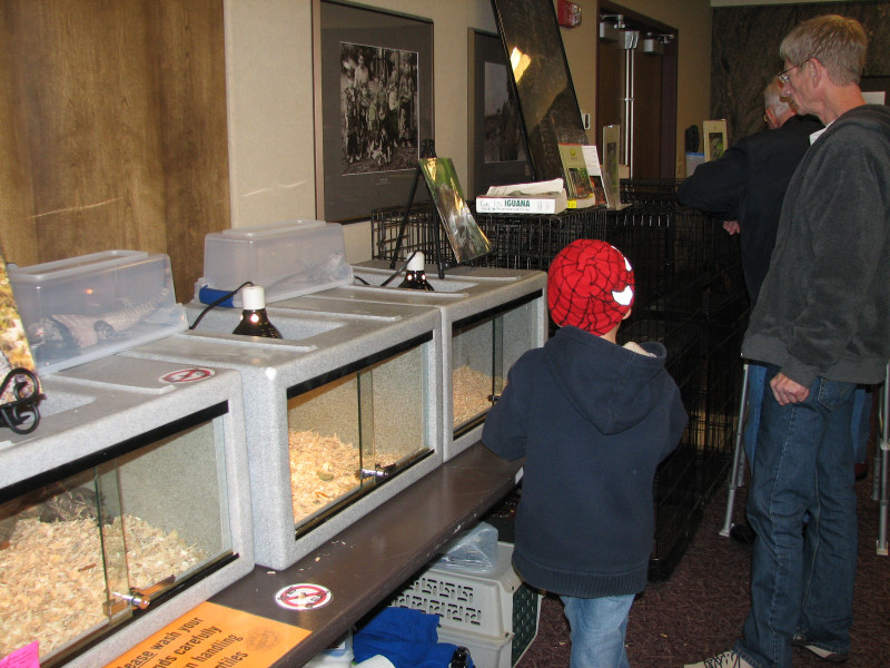 Snake Days 2010