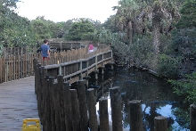 Trip to St. Augustine