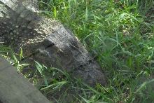 Trip to St. Augustine