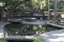 Trip to St. Augustine