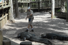Trip to St. Augustine