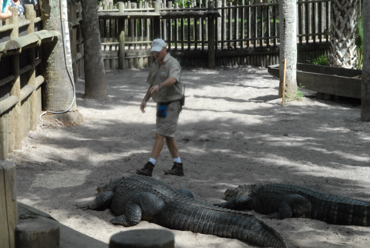 Trip to St. Augustine