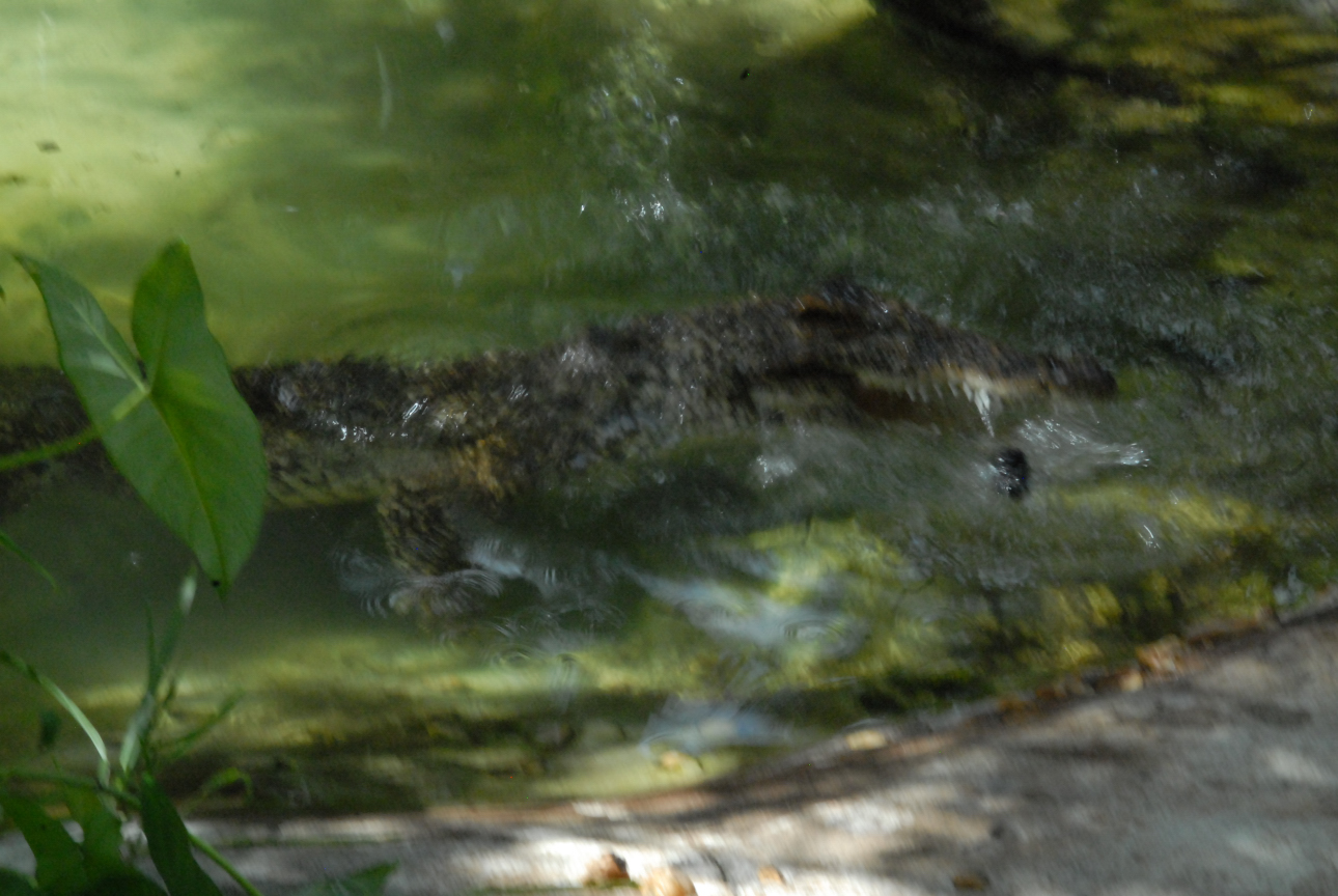 Trip to St. Augustine