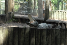 Trip to St. Augustine