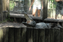 Trip to St. Augustine