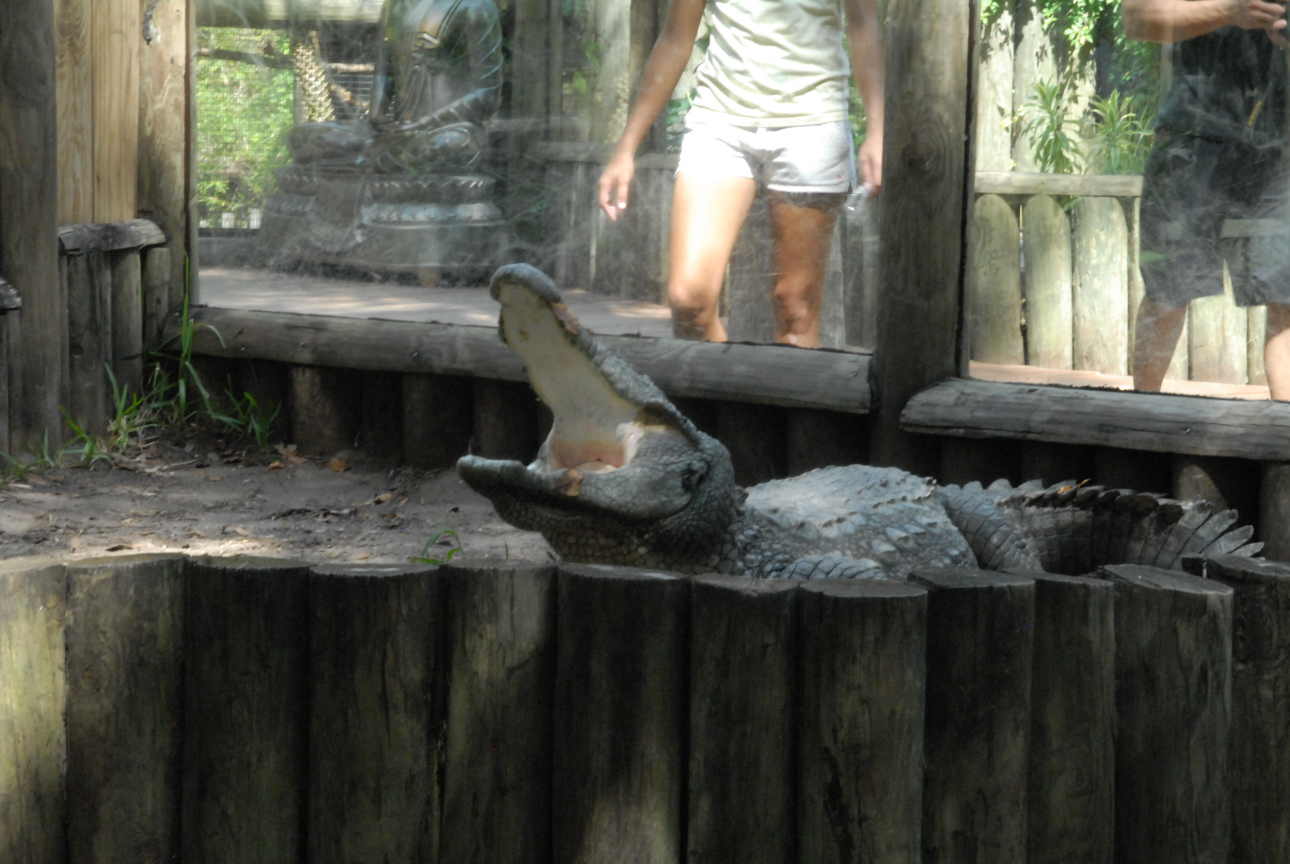 Trip to St. Augustine