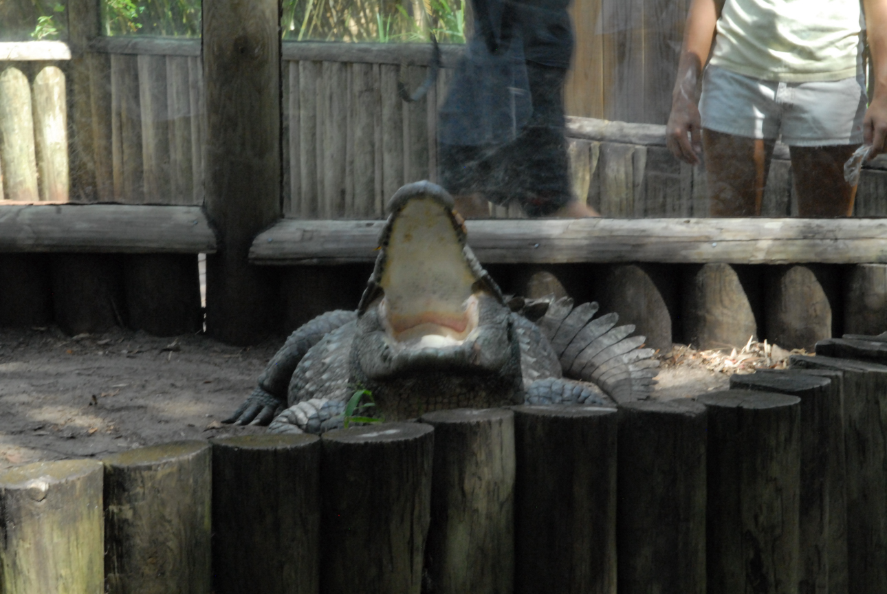 Trip to St. Augustine
