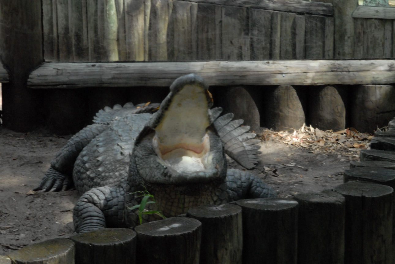 Trip to St. Augustine