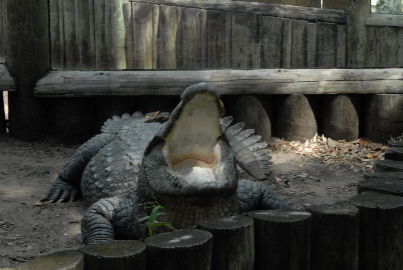Trip to St. Augustine