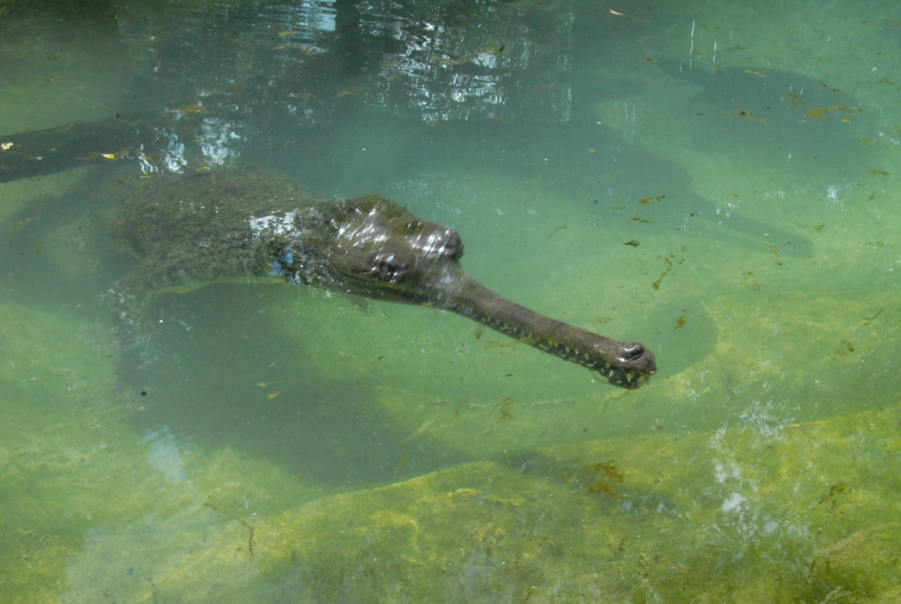 Trip to St. Augustine