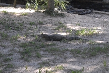 Trip to St. Augustine