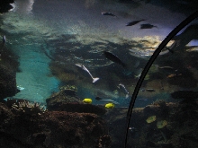 A smattering of photos from Las Vegas December 2010.