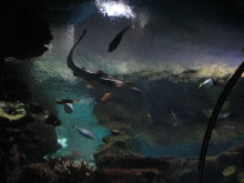 A smattering of photos from Las Vegas December 2010.