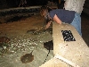 A smattering of photos from Las Vegas December 2010.