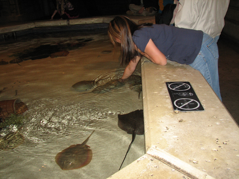 A smattering of photos from Las Vegas December 2010.