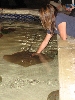 A smattering of photos from Las Vegas December 2010.
