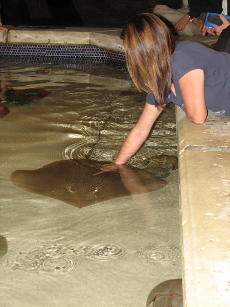 A smattering of photos from Las Vegas December 2010.