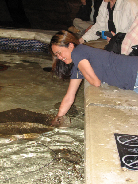 A smattering of photos from Las Vegas December 2010.