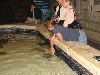 A smattering of photos from Las Vegas December 2010.
