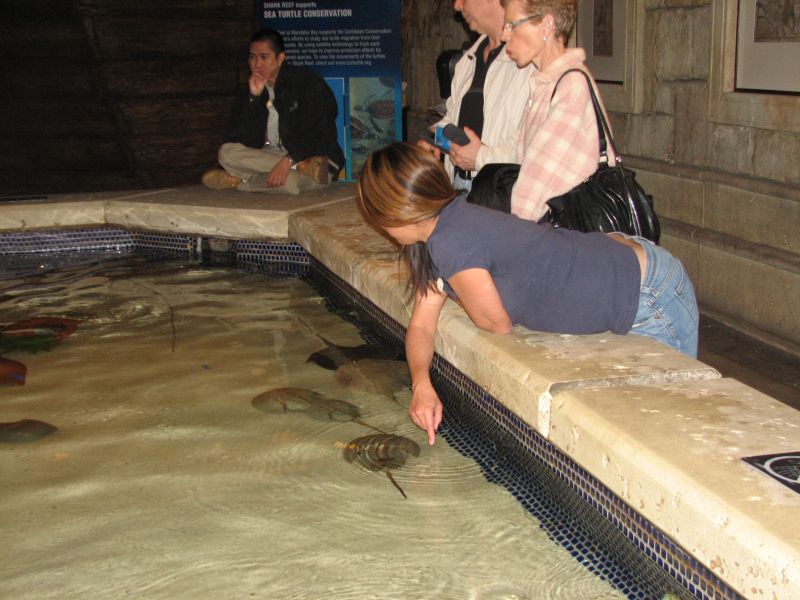 A smattering of photos from Las Vegas December 2010.