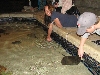 A smattering of photos from Las Vegas December 2010.
