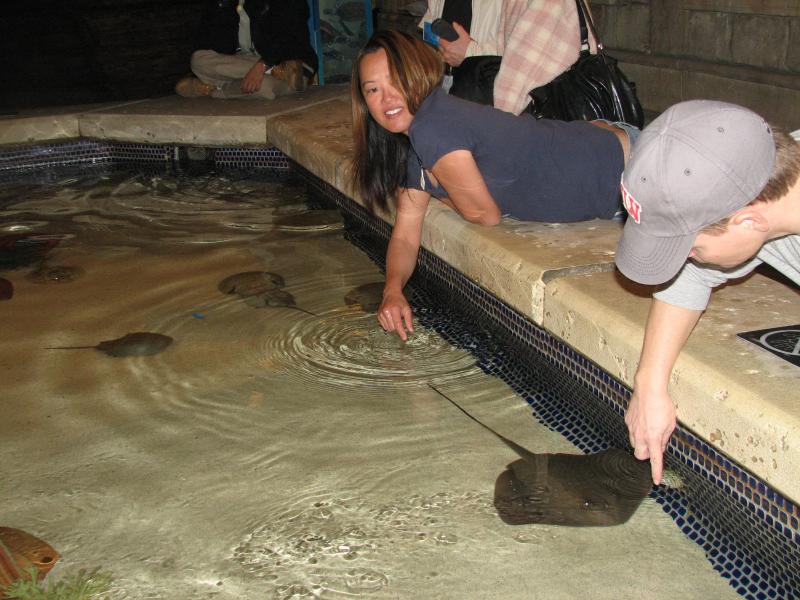 A smattering of photos from Las Vegas December 2010.
