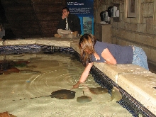 A smattering of photos from Las Vegas December 2010.