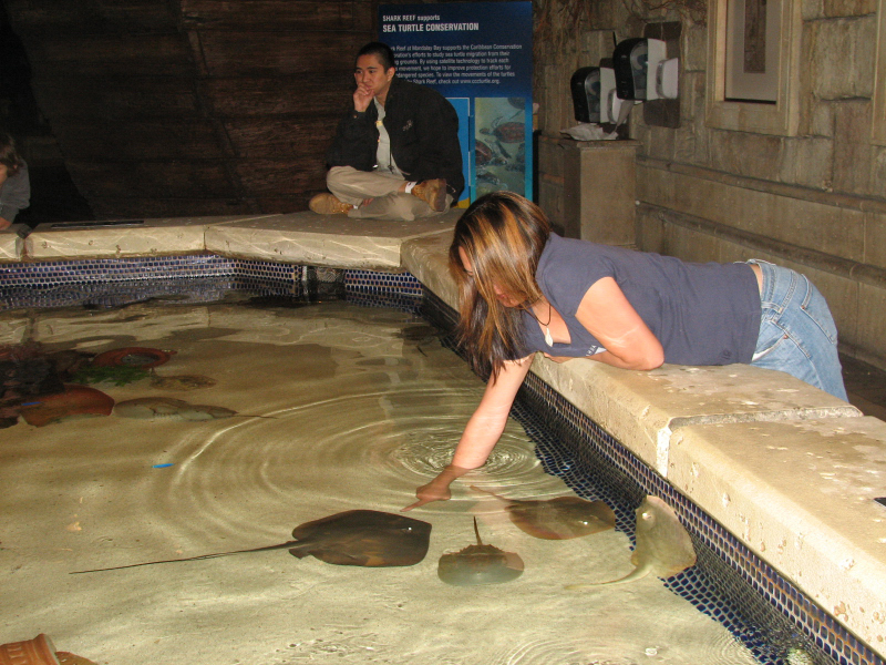 A smattering of photos from Las Vegas December 2010.