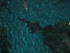 A smattering of photos from Las Vegas December 2010.