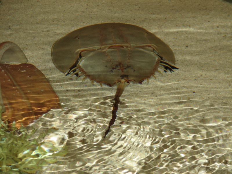 A smattering of photos from Las Vegas December 2010.