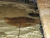 A smattering of photos from Las Vegas December 2010.