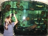 A smattering of photos from Las Vegas December 2010.