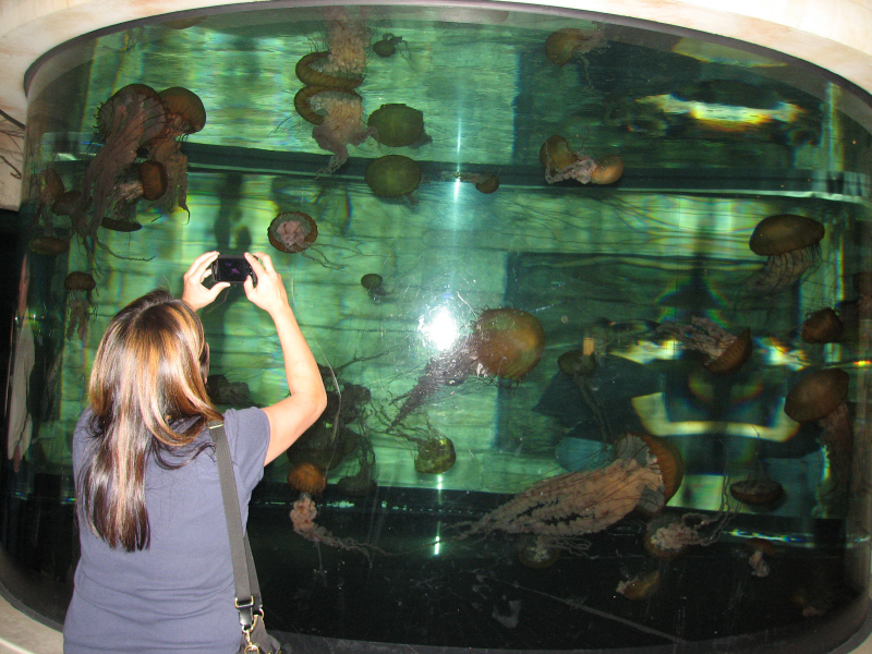 A smattering of photos from Las Vegas December 2010.