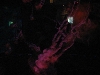 A smattering of photos from Las Vegas December 2010.