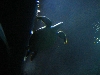 A smattering of photos from Las Vegas December 2010.