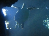 A smattering of photos from Las Vegas December 2010.